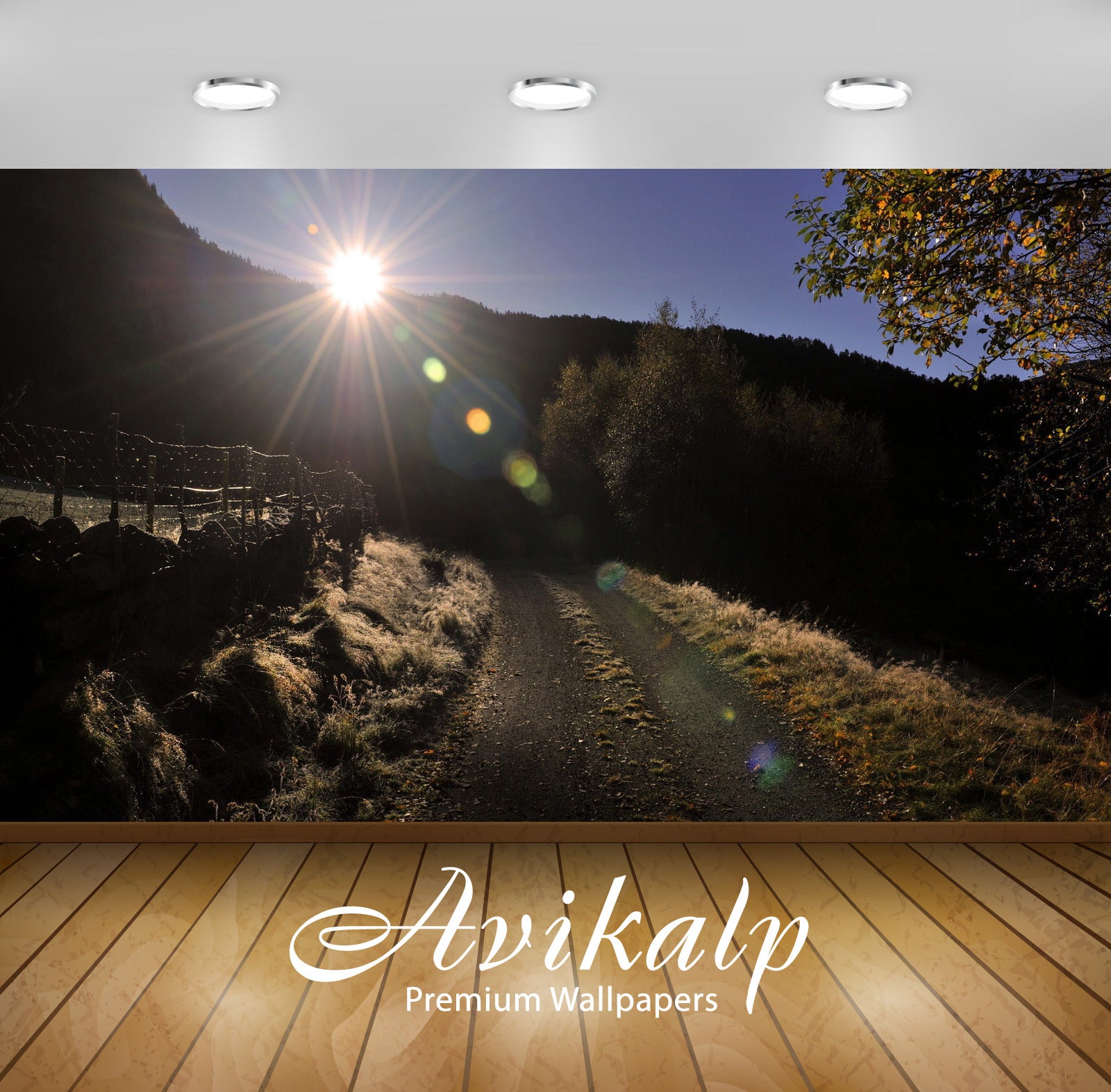Avikalp Exclusive Awi6459 Sunny Path Through The Mountains Nature Full HD Wallpapers for Living room Avikalp Exclusive Awi6459 Sunny Path Through The Mountains Nature Full HD Wallpapers for Living room