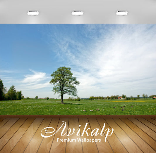 Avikalp Exclusive Awi6462 Sunny Summer Day Nature Full HD Wallpapers for Living room, Hall, Kids Roo