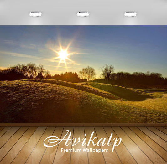 Avikalp Exclusive Awi6463 Sunny Summer Day Nature Full HD Wallpapers for Living room, Hall, Kids Roo