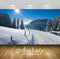 Avikalp Exclusive Awi6465 Sunny Winter Nature Full HD Wallpapers for Living room, Hall, Kids Room, K