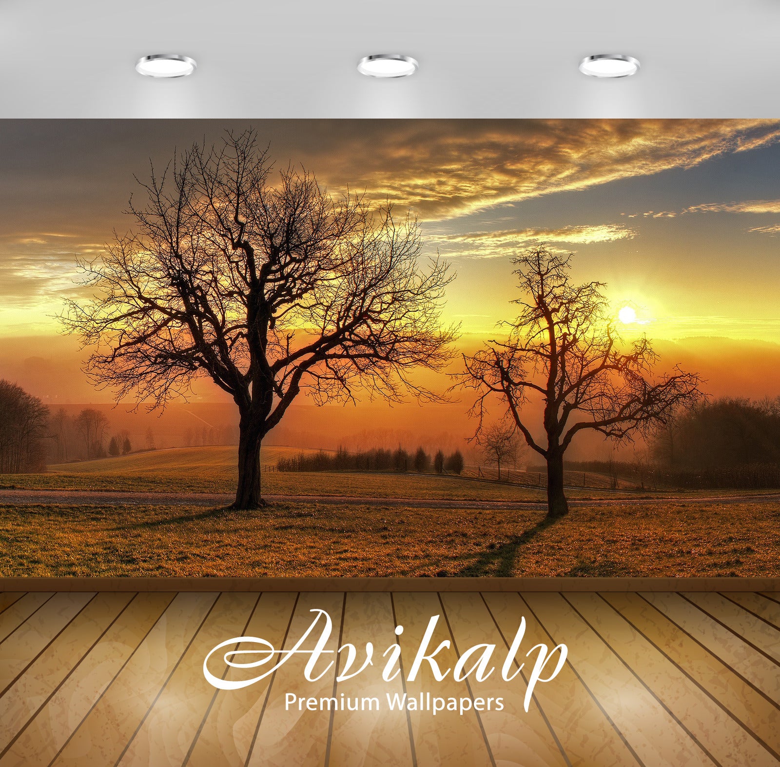 Avikalp Exclusive Awi6481 Sunset Above The Winter Trees Nature Full HD Wallpapers for Living room, H Avikalp Exclusive Awi6481 Sunset Above The Winter Trees Nature Full HD Wallpapers for Living room, H