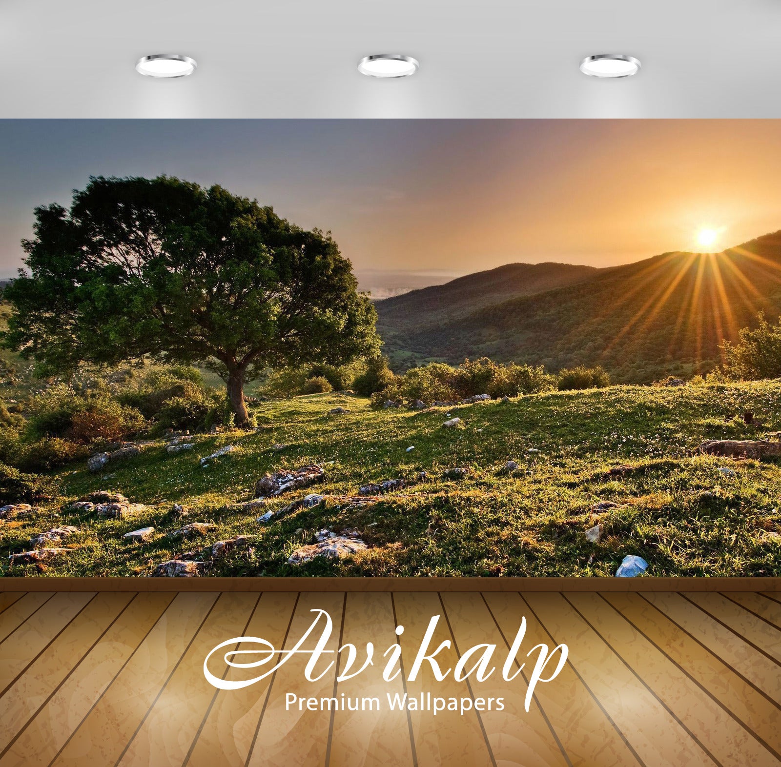 Avikalp Exclusive Awi6493 Sunset From The Hilltop Tree Nature Full HD Wallpapers for Living room, Ha Avikalp Exclusive Awi6493 Sunset From The Hilltop Tree Nature Full HD Wallpapers for Living room, Ha