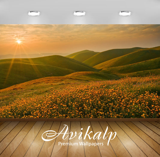 Avikalp Exclusive Awi6507 Sunset Light Shining Upon The Golden Flowers Nature Full HD Wallpapers for