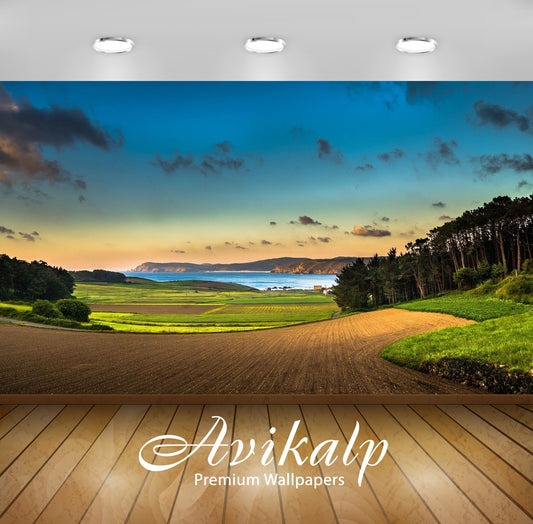 Avikalp Exclusive Awi6511 Sunset On A Summer Day Nature Full HD Wallpapers for Living room, Hall, Ki