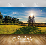 Avikalp Exclusive Awi6524 Sunset Over The Trees Nature Full HD Wallpapers for Living room, Hall, Kid Avikalp Exclusive Awi6524 Sunset Over The Trees Nature Full HD Wallpapers for Living room, Hall, Kid