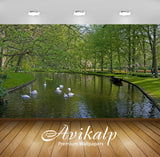 Avikalp Exclusive Awi6540 Swans In The Park Nature Full HD Wallpapers for Living room, Hall, Kids Ro Avikalp Exclusive Awi6540 Swans In The Park Nature Full HD Wallpapers for Living room, Hall, Kids Ro
