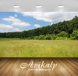 Avikalp Exclusive Awi6552 The Edge Of The Forest Nature Full HD Wallpapers for Living room, Hall, Ki Avikalp Exclusive Awi6552 The Edge Of The Forest Nature Full HD Wallpapers for Living room, Hall, Ki