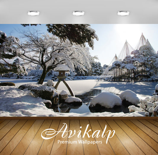 Avikalp Exclusive Awi6564 Thick Snow On The Rocks In The Garden Nature Full HD Wallpapers for Living