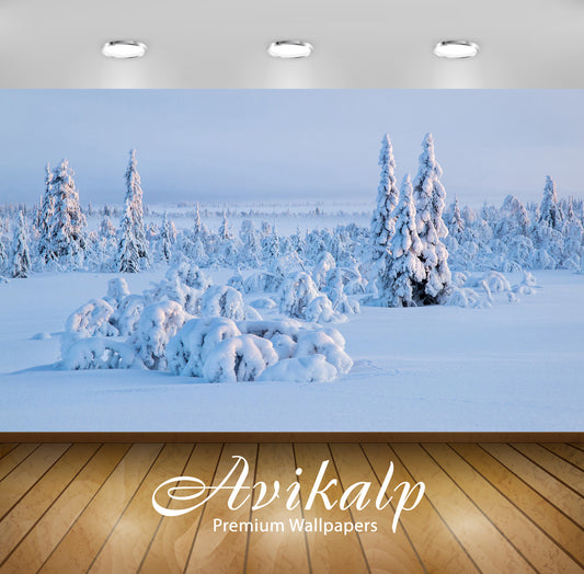 Avikalp Exclusive Awi6565 Thick Snow On The Trees Nature Full HD Wallpapers for Living room, Hall, K