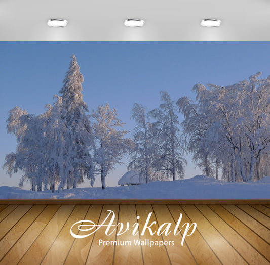 Avikalp Exclusive Awi6567 Thick Snow On Trees Nature Full HD Wallpapers for Living room, Hall, Kids