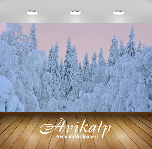 Avikalp Exclusive Awi6568 Thick Snow On Trees Nature Full HD Wallpapers for Living room, Hall, Kids