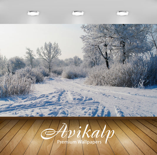 Avikalp Exclusive Awi6588 Trails In The Snow Nature Full HD Wallpapers for Living room, Hall, Kids R