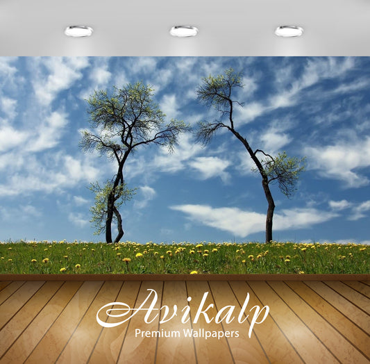 Avikalp Exclusive Awi6591 Tree Arch Nature Full HD Wallpapers for Living room, Hall, Kids Room, Kitc