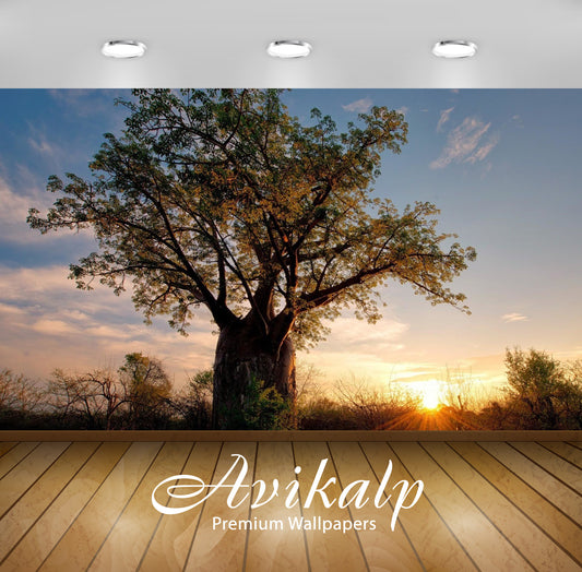 Avikalp Exclusive Awi6592 Tree At Sunrise Nature Full HD Wallpapers for Living room, Hall, Kids Room