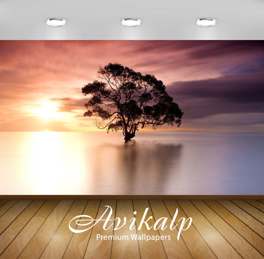 Avikalp Exclusive Awi6594 Tree In Nudgee Beach Australia Nature Full HD Wallpapers for Living room,