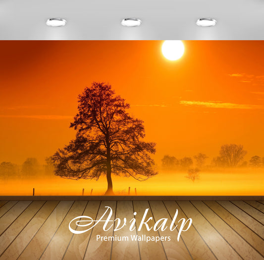 Avikalp Exclusive Awi6596 Tree In The Morning Mist Nature Full HD Wallpapers for Living room, Hall,