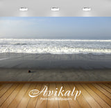 Avikalp Exclusive Premium coconut HD Wallpapers for Living room, Hall, Kids Room, Kitchen, TV Backgr Avikalp Exclusive Premium coconut HD Wallpapers for Living room, Hall, Kids Room, Kitchen, TV Backgr