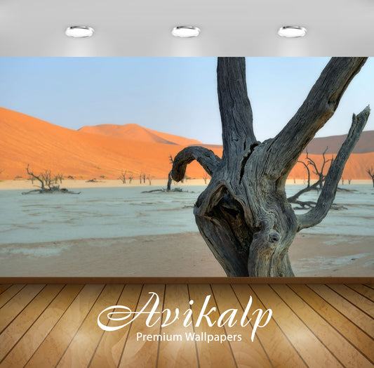 Avikalp Exclusive Awi6600 Tree Logs On Arid Ground By The Desert Nature Full HD Wallpapers for Livin