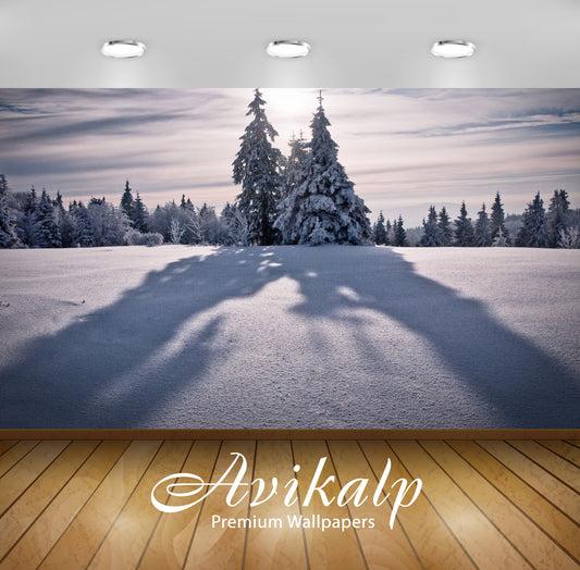 Avikalp Exclusive Awi6603 Tree Shadowing On The Snow Nature Full HD Wallpapers for Living room, Hall