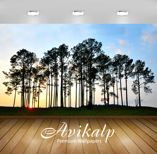 Avikalp Exclusive Awi6604 Trees At Sunrise Nature Full HD Wallpapers for Living room, Hall, Kids Roo