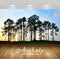 Avikalp Exclusive Awi6604 Trees At Sunrise Nature Full HD Wallpapers for Living room, Hall, Kids Roo