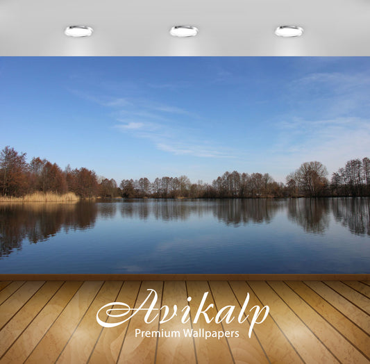 Avikalp Exclusive Awi6605 Trees By The Water Nature Full HD Wallpapers for Living room, Hall, Kids R