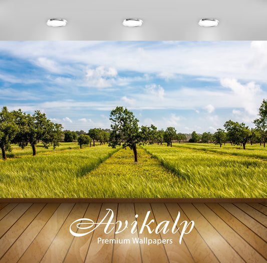 Avikalp Exclusive Awi6612 Trees In The Field Nature Full HD Wallpapers for Living room, Hall, Kids R