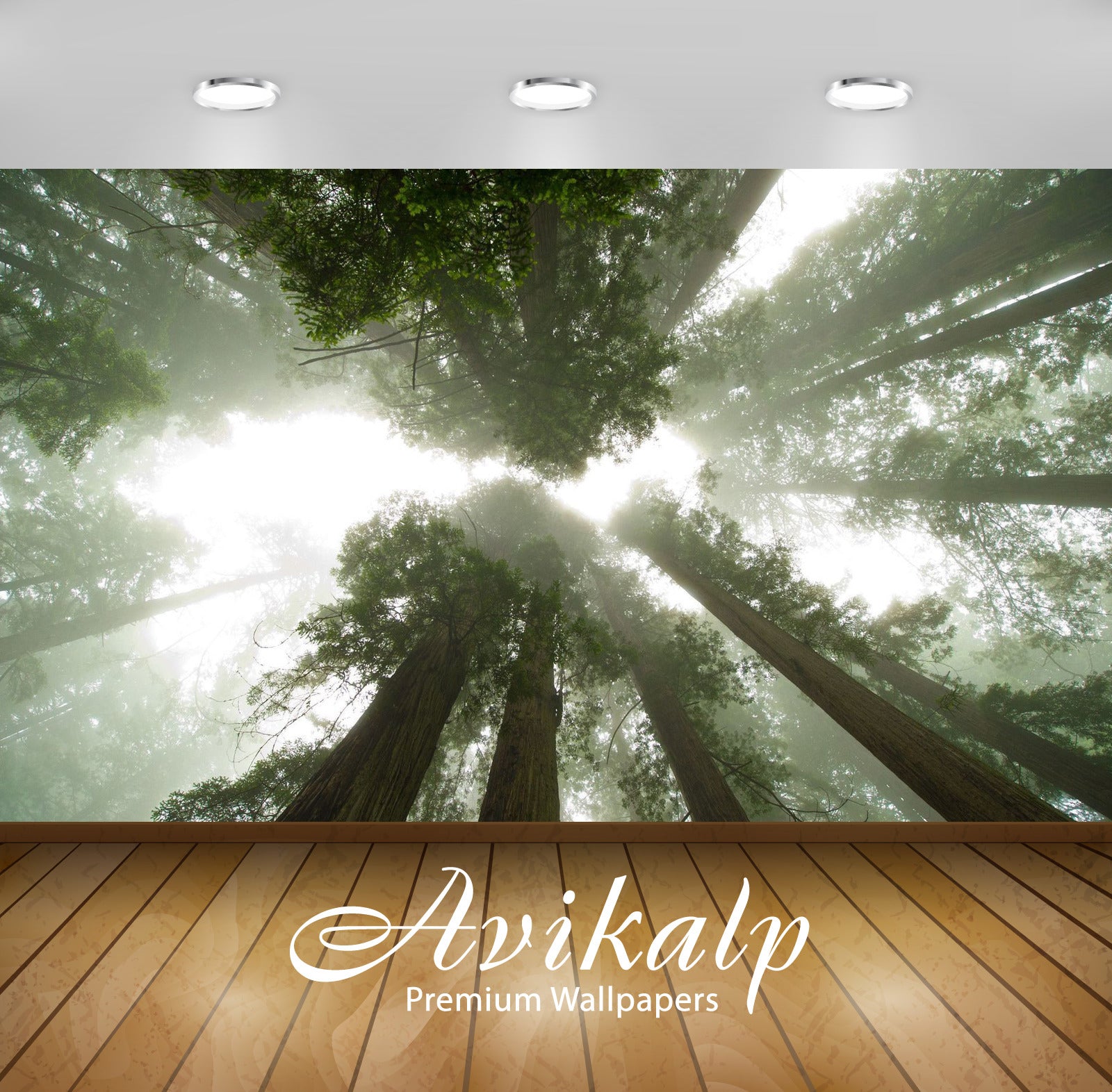 Avikalp Exclusive Awi6613 Trees In The Fog Nature Full HD Wallpapers for Living room, Hall, Kids Roo Avikalp Exclusive Awi6613 Trees In The Fog Nature Full HD Wallpapers for Living room, Hall, Kids Roo