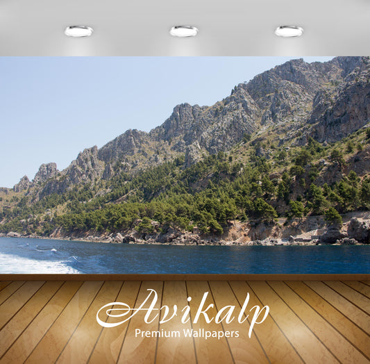 Avikalp Exclusive Awi6617 Trees On The Rocky Northern Coast Of Majorca Nature Full HD Wallpapers for