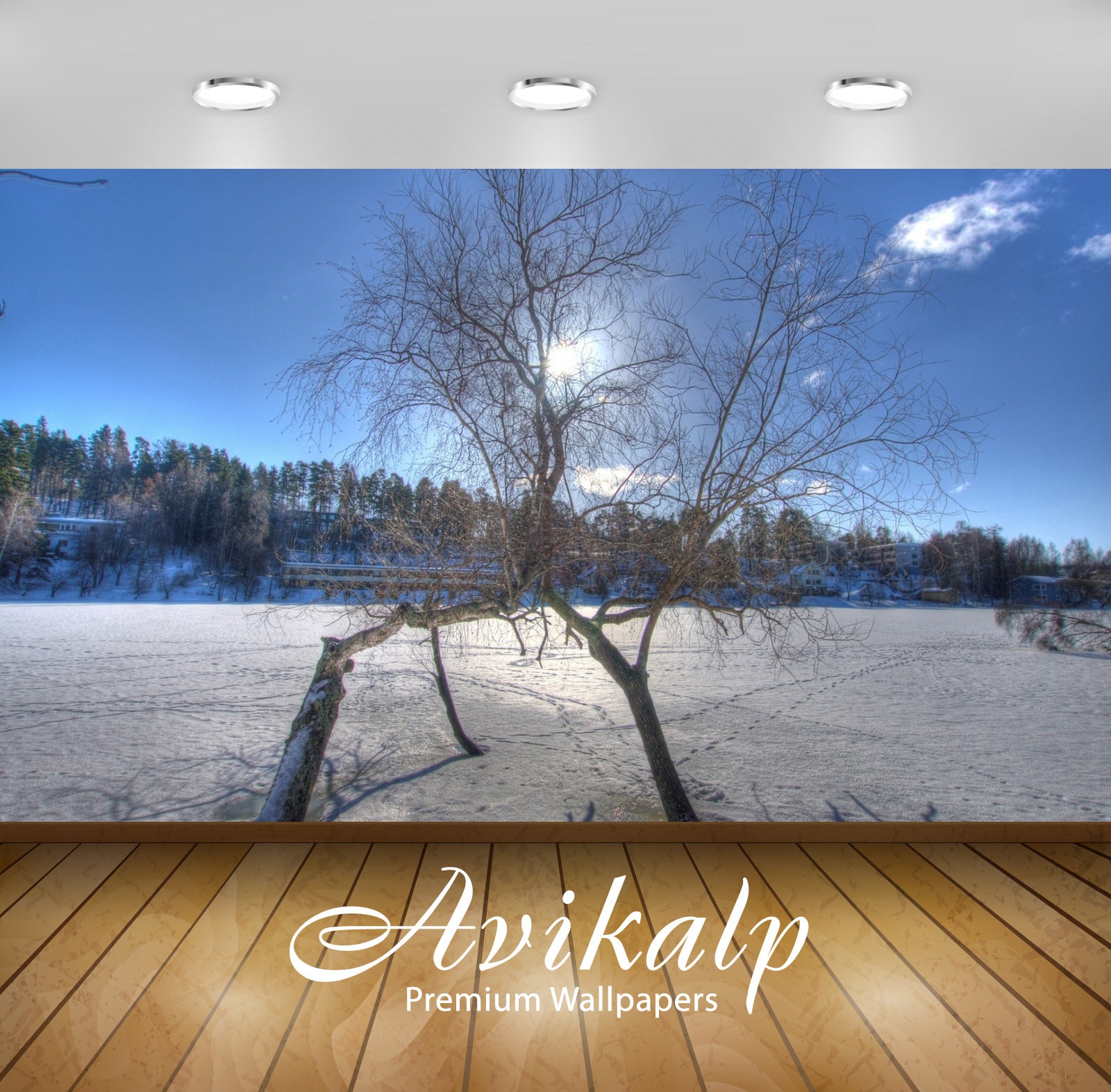 Avikalp Exclusive Awi6619 Trees Rising From The Frozen Water Nature Full HD Wallpapers for Living ro Avikalp Exclusive Awi6619 Trees Rising From The Frozen Water Nature Full HD Wallpapers for Living ro