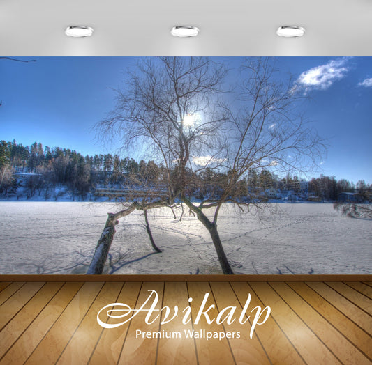 Avikalp Exclusive Awi6619 Trees Rising From The Frozen Water Nature Full HD Wallpapers for Living ro