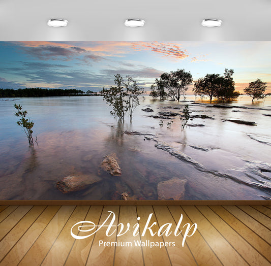 Avikalp Exclusive Awi6621 Tress Growing In The Lake Nature Full HD Wallpapers for Living room, Hall,