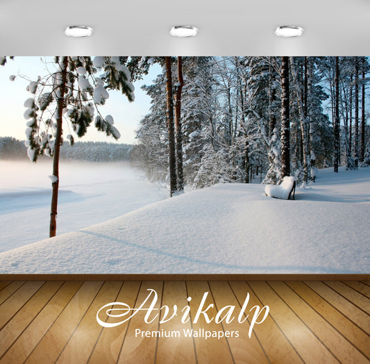 Avikalp Exclusive Awi6626 Untouched Snow By The Bench Nature Full HD Wallpapers for Living room, Hal