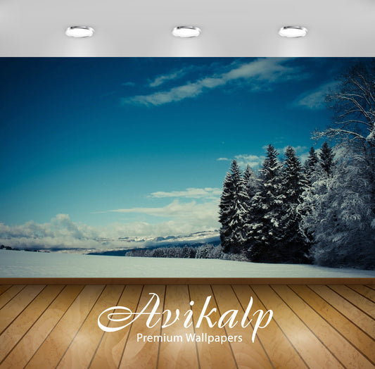 Avikalp Exclusive Awi6716 Winter Landscape Nature Full HD Wallpapers for Living room, Hall, Kids Roo