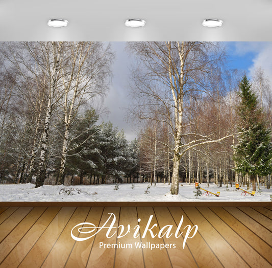 Avikalp Exclusive Awi6717 Winter On The Playground Nature Full HD Wallpapers for Living room, Hall,