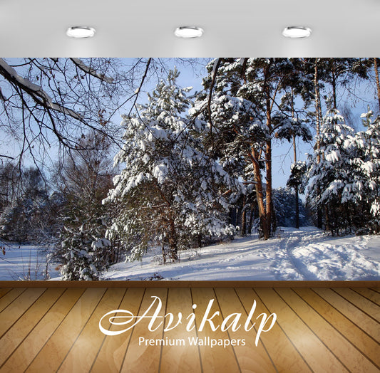 Avikalp Exclusive Awi6724 Winter Trees Nature Full HD Wallpapers for Living room, Hall, Kids Room, K