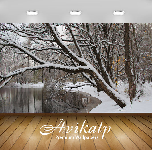 Avikalp Exclusive Awi6725 Winter Trees Leaning To The Water Nature Full HD Wallpapers for Living roo