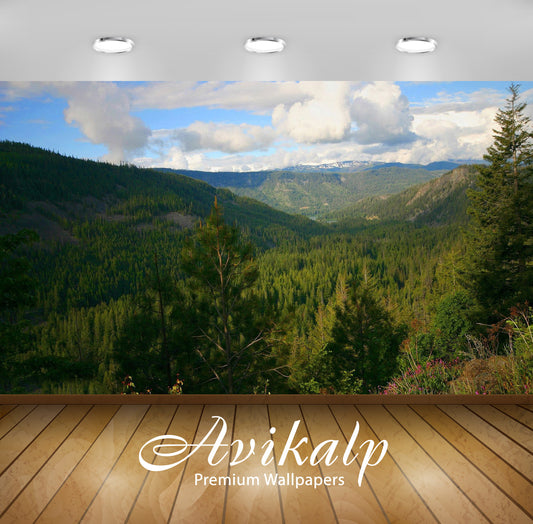 Avikalp Exclusive Awi6738 Woodland Nature Full HD Wallpapers for Living room, Hall, Kids Room, Kitch