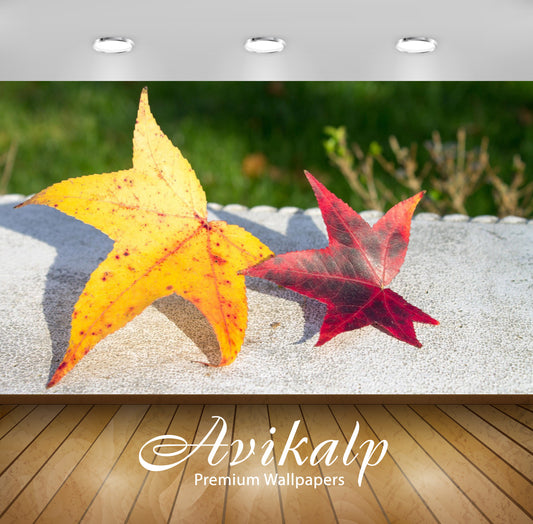 Avikalp Exclusive Awi6739 Yellow And Red Leaves On A Bench Nature Full HD Wallpapers for Living room