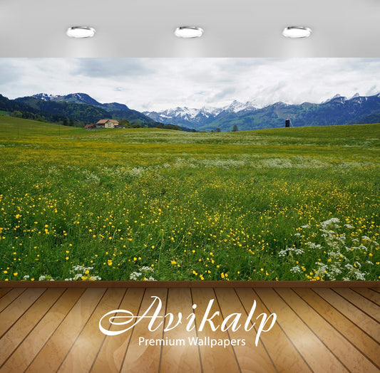 Avikalp Exclusive Awi6745 Yellow Flowers On The Green Mountain Field Nature Full HD Wallpapers for L