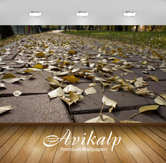 Avikalp Exclusive Awi6751 Yellow Leaves On The Park Alley Nature Full HD Wallpapers for Living room,
