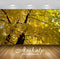 Avikalp Exclusive Awi6752 Yellow Linden Branches Nature Full HD Wallpapers for Living room, Hall, Ki