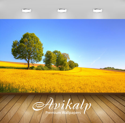 Avikalp Exclusive Awi6755 Yellow Rapeseed Field Nature Full HD Wallpapers for Living room, Hall, Kid