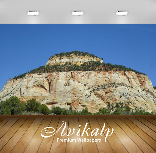 Avikalp Exclusive Awi6774 Zion National Park Nature Full HD Wallpapers for Living room, Hall, Kids R