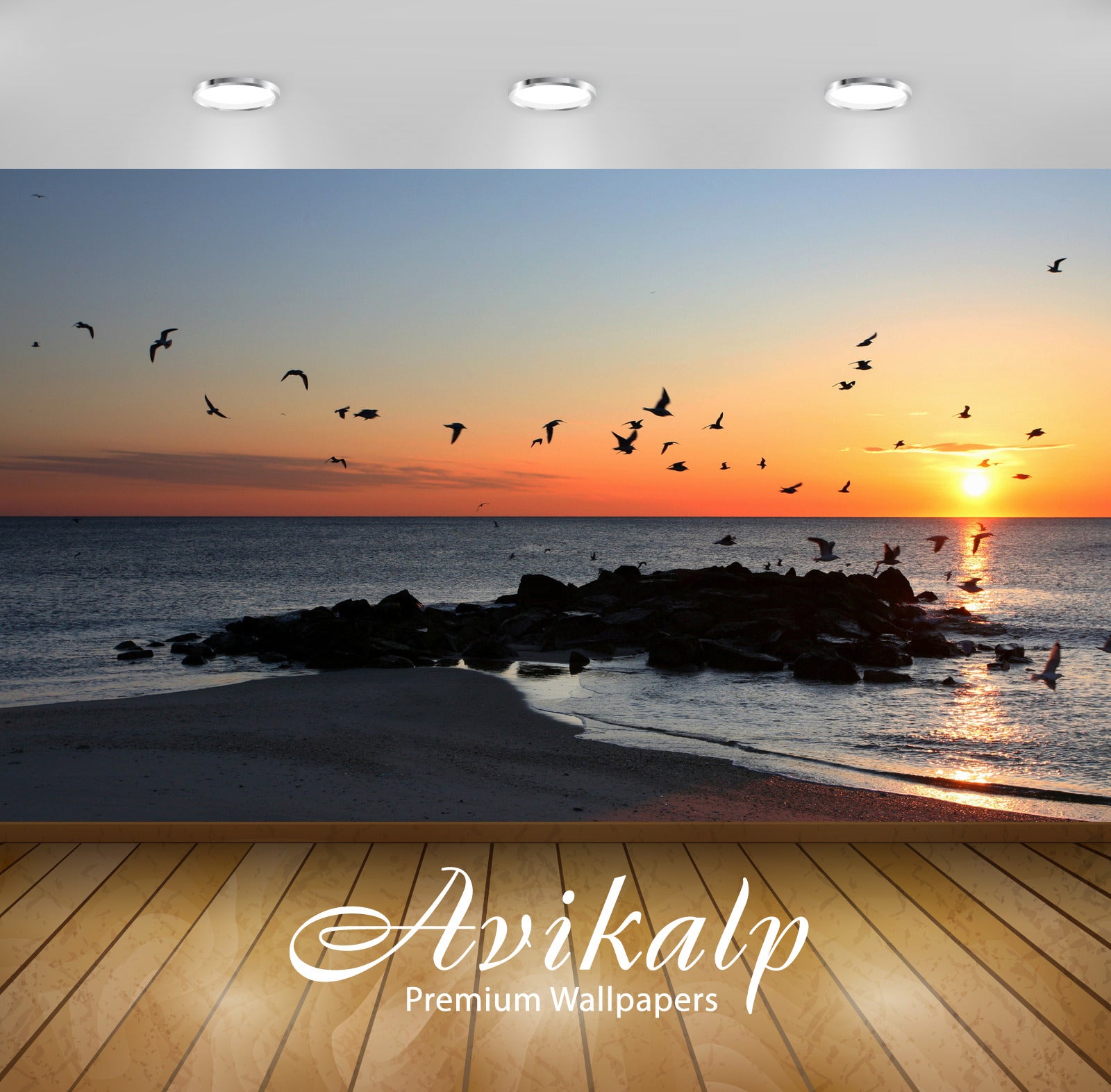 Avikalp Exclusive Awi7263 Seagulls Flying At Sunset Above A Sandy Beach Nature HD Wallpaper Avikalp Exclusive Awi7263 Seagulls Flying At Sunset Above A Sandy Beach Nature HD Wallpaper