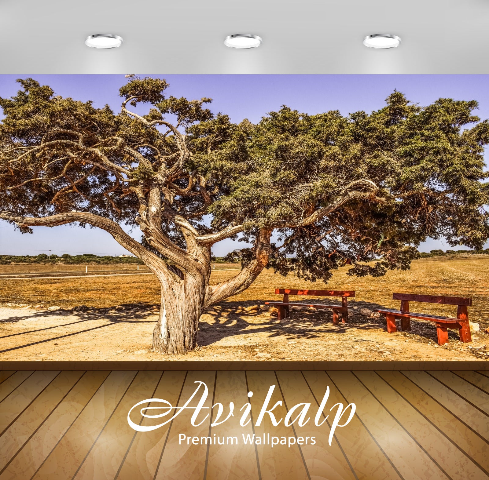 Avikalp Exclusive Premium cyprus HD Wallpapers for Living room, Hall, Kids Room, Kitchen, TV Backgro Avikalp Exclusive Premium cyprus HD Wallpapers for Living room, Hall, Kids Room, Kitchen, TV Backgro