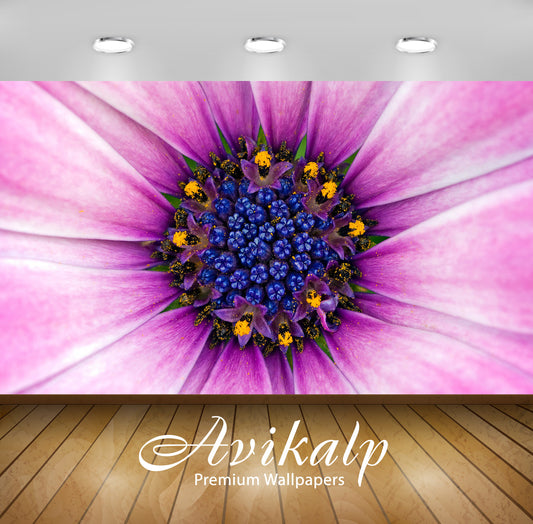 Avikalp Exclusive AWI798 Abstract HD Wallpapers for Living room, Hall, Kids Room, Kitchen, TV Backgr