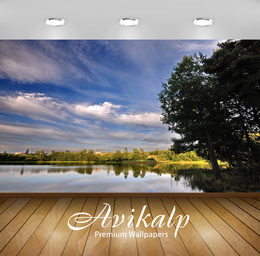 Avikalp Exclusive AWI844 Nature HD Wallpapers for Living room, Hall, Kids Room, Kitchen, TV Backgrou