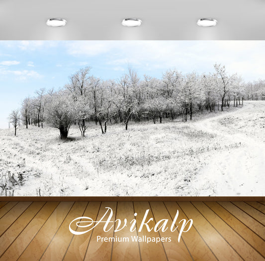 Avikalp Exclusive AWI854 Nature HD Wallpapers for Living room, Hall, Kids Room, Kitchen, TV Backgrou