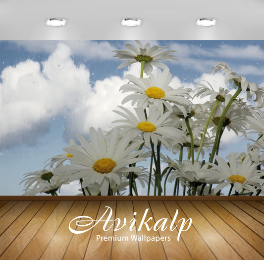 Avikalp Exclusive AWI855 Nature HD Wallpapers for Living room, Hall, Kids Room, Kitchen, TV Backgrou